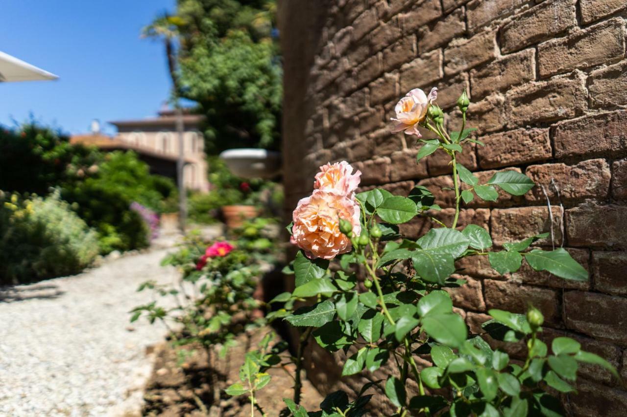 Villa Bonelli Σιένα Εξωτερικό φωτογραφία